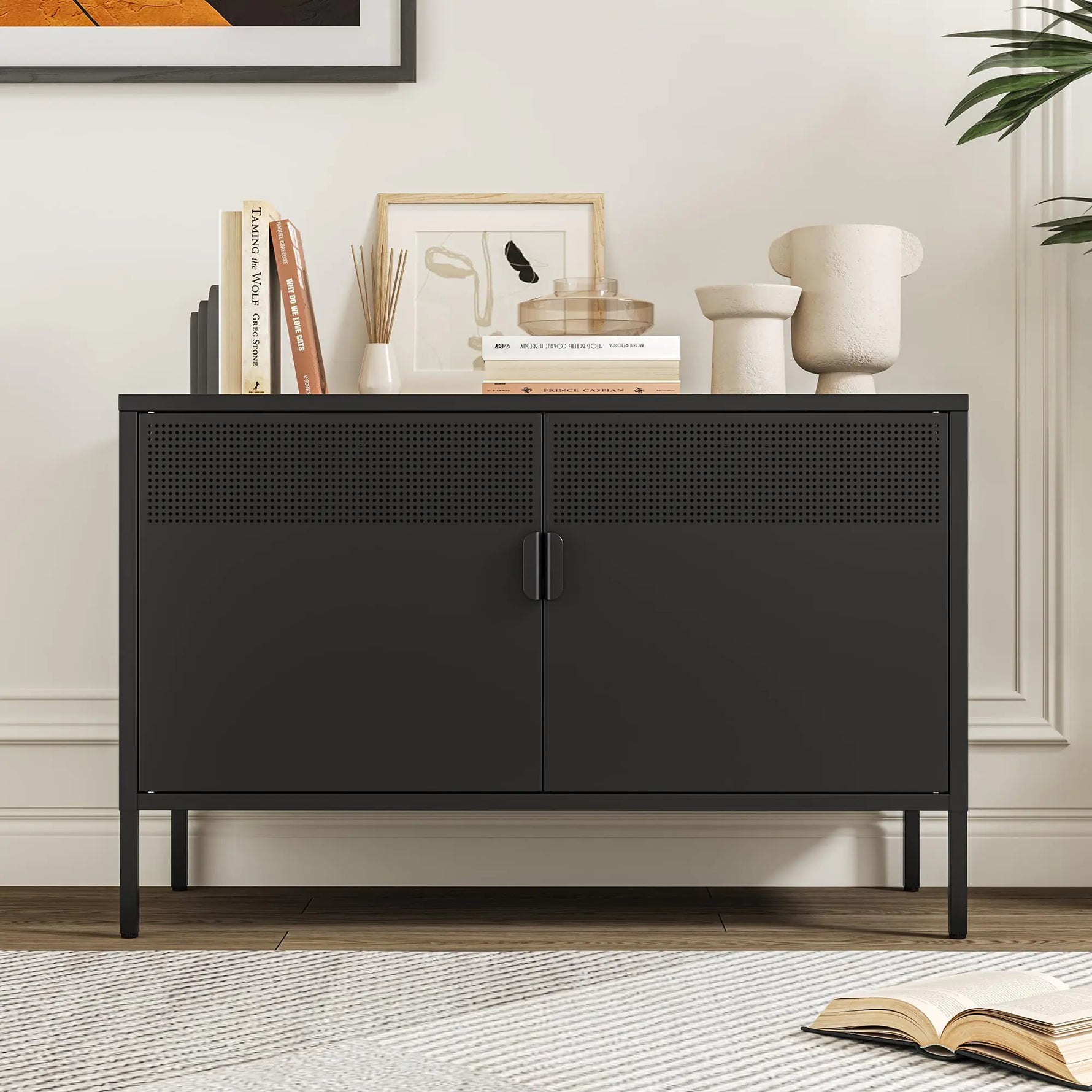 Chshin Metal Storage Cabinet with DoorShoes Storage CabinetMetal Locker Cabinet2 Door TV Media Stand with Removable Shelves forHomeOfficeEntrywayLiving Room(Black)